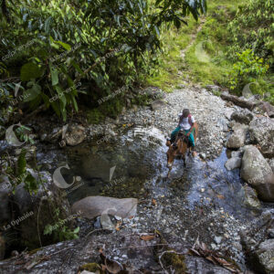Cañon del Melcocho