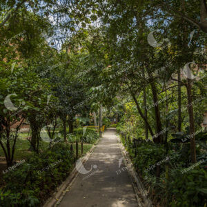 Naturaleza