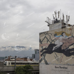 MURALES