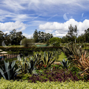 RIONEGRO