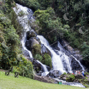 TEQUENDAMITA