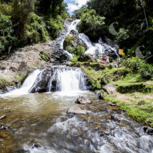TEQUENDAMITA