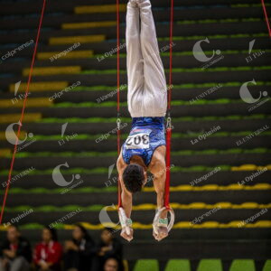 Gimnasia