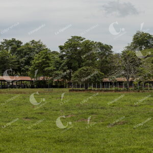 Alrededores de las hacienda Virgen del Cobre