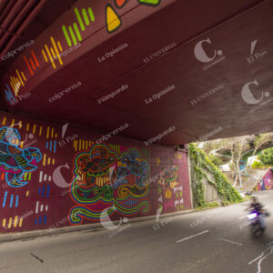 MURALES