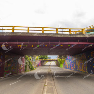 MURALES