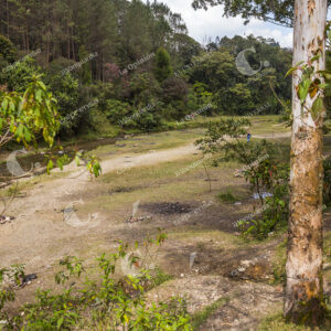 Quebrada Alto de San Miguel