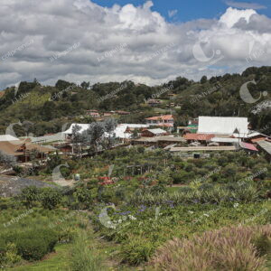 Eco Hotel Jardín de los Silleteros
