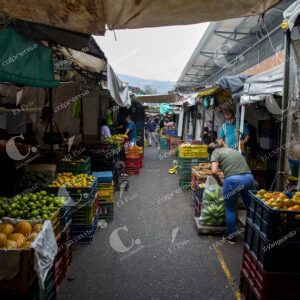 Comercio de frutas y verduras