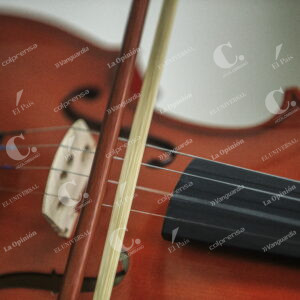 Violín en  Bellas Artes