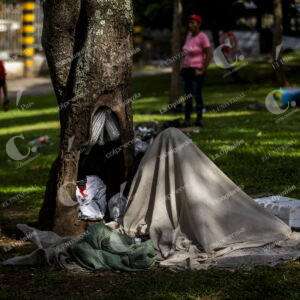habitante de calle