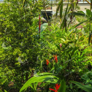 Jardín Nómada