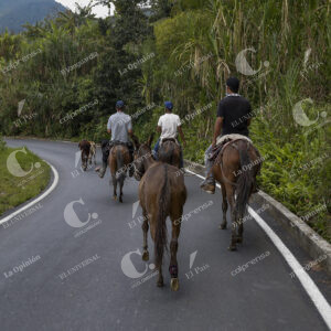 Carreteras de Antioquía
