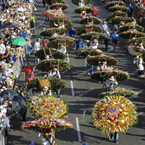 Desfile de Silleteros