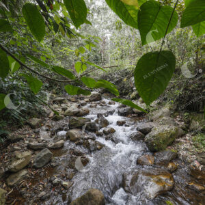 Quebrada el salado
