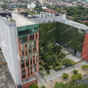 Ruta N