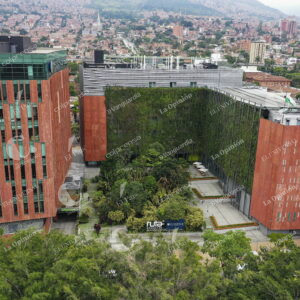 Ruta N