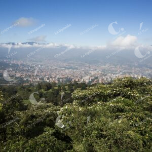 Bruma en Medellín