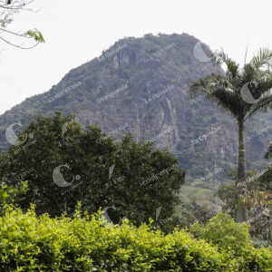Farallones
