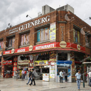 Patrimonio Gutenberg