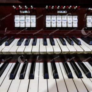 Organo Tubular