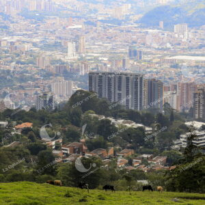 Panorámica