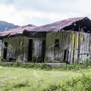 Campo olvidado