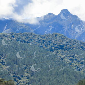 La piedra Andes