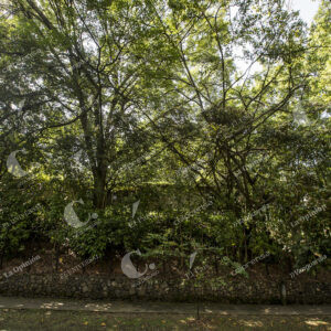 Naturaleza