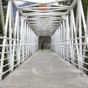 Puente peatonal