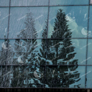 Reflejo