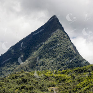 Cerro Tusa