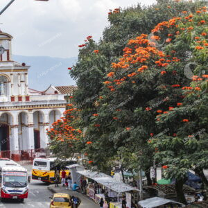 San Cristóbal
