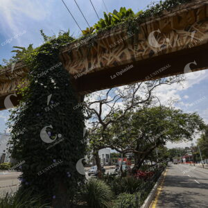Puente peatonal