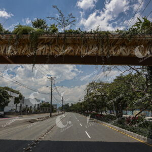 De puente a jardineras