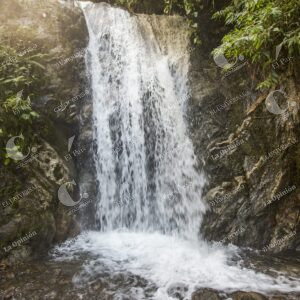 Cascada
