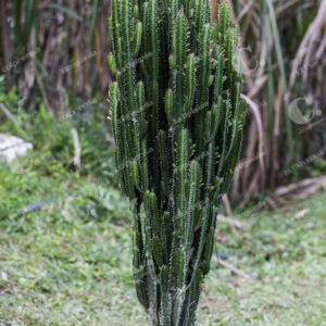 Hogares Ecológicos