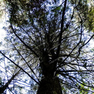 Parque Arví