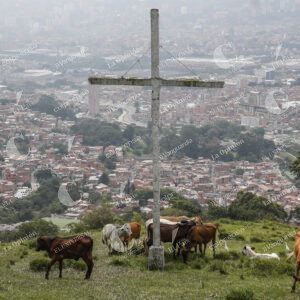 Loma los zuleta