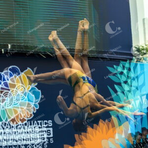 Campeonato Panamericano Acuático