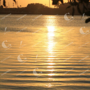 ATARDECER (1)