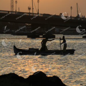 ATARDECER (4)