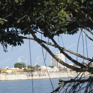 fotos para ilustrar tema de la avenida