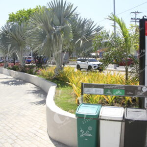 Remodelación de parque Reloj Floral