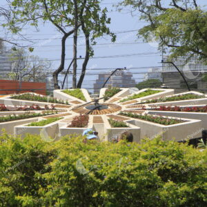 Remodelación de parque Reloj Floral