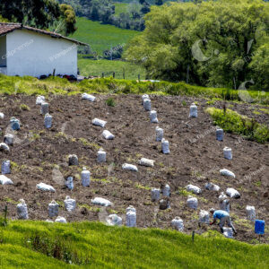 Agricultores