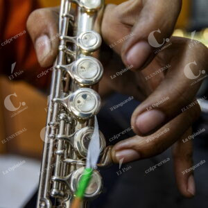 Tecnico Lutier