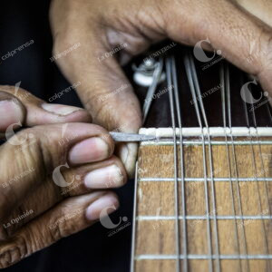 Instrumento