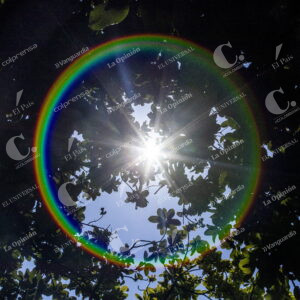 Sol