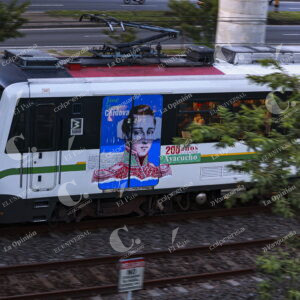Tren de la Cultura
